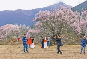 西藏林芝：乡村美如画 生活更红火